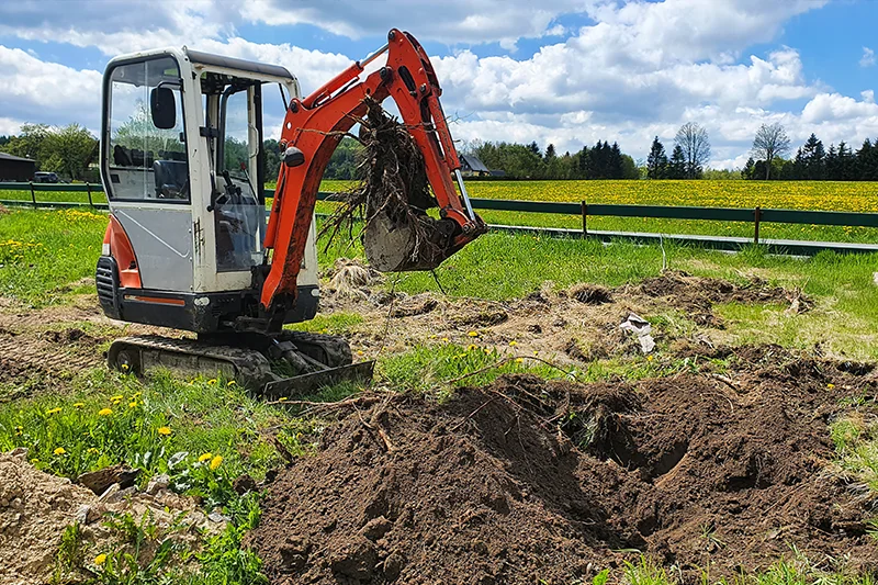 बगीचा बगीचा